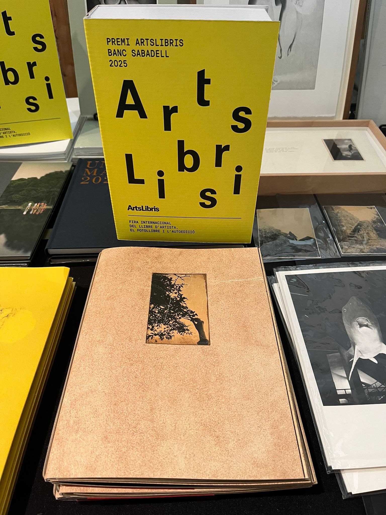 El vuelo lleva al vuelo de Juanan Requena