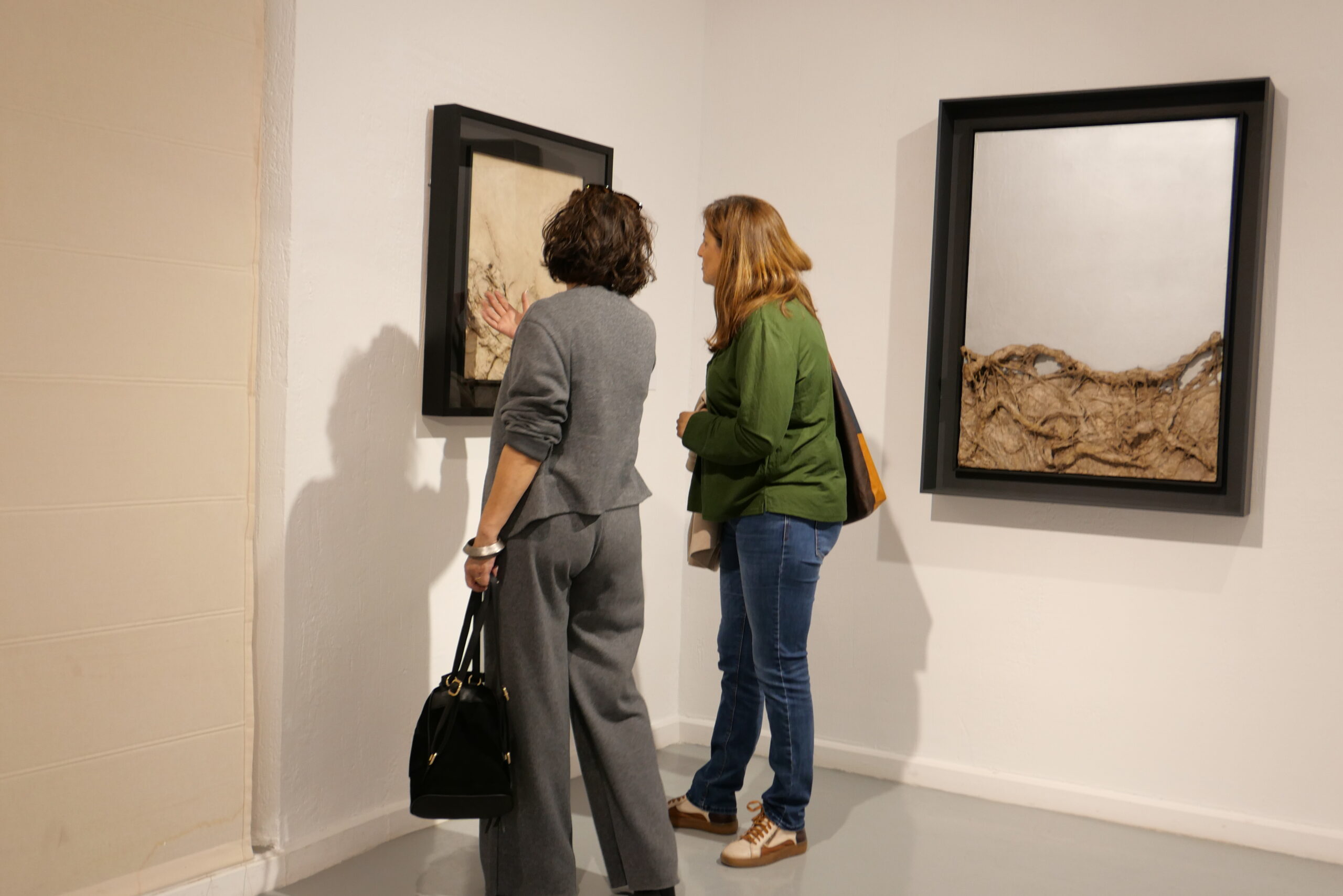 Torner en torno al Vesalio, Casa Zavala