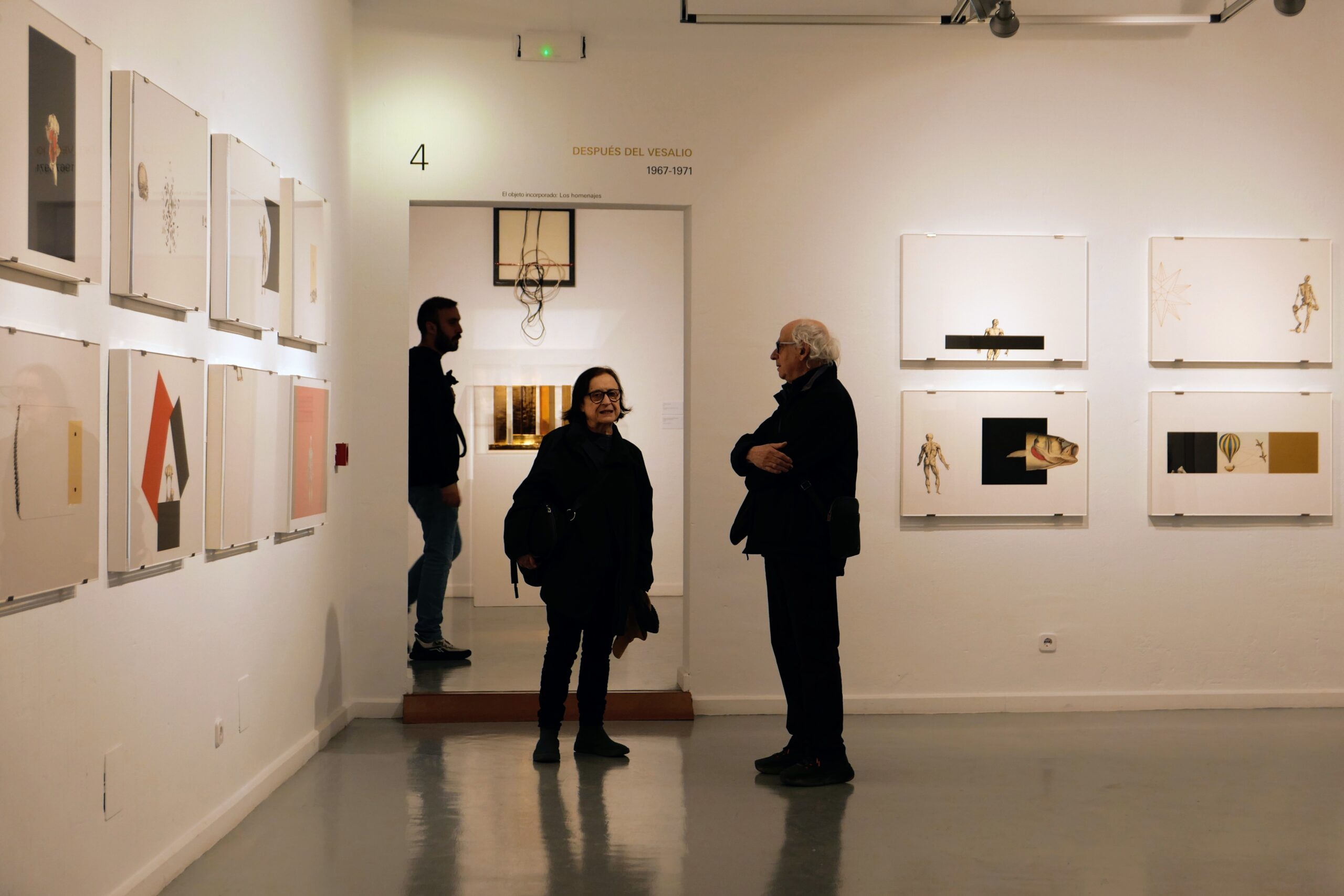 Torner en torno al Vesalio, Casa Zavala